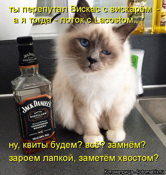 Котоматрица: ты перепутал Вискас с вискарём  - а я тогда - лоток с Lacostом.. ну, квиты будем? всё? замнём? зароем лапкой, заметём хвостом?