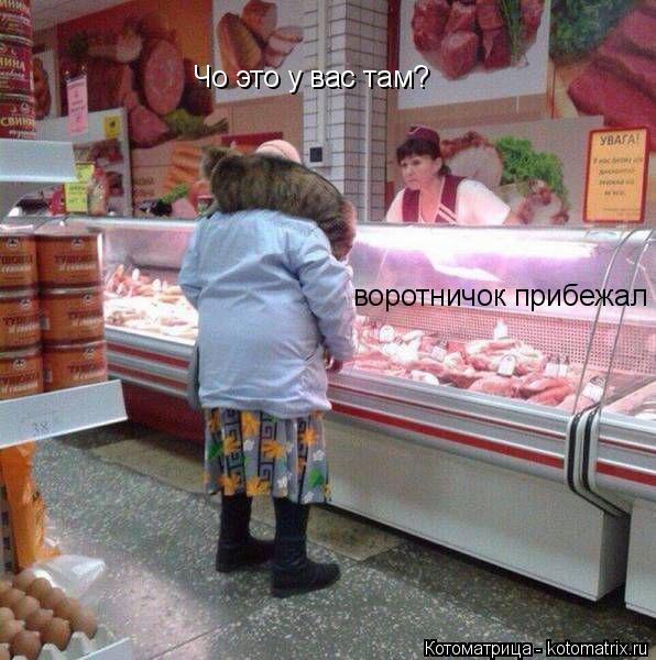 Котоматрица: Чо это у вас там? воротничок прибежал