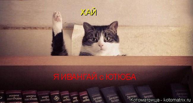 Котоматрица: ХАЙ     Я ИВАНГАЙ с ЮТЮБА