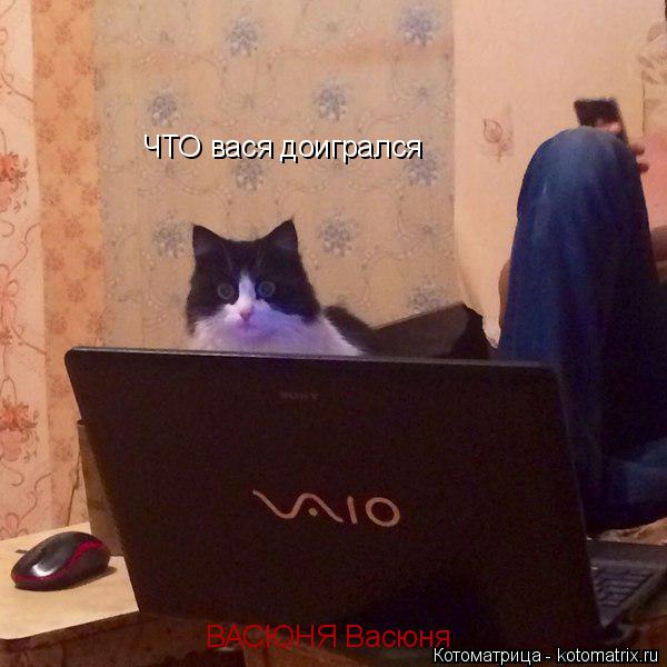 Котоматрица: ЧТО вася доигрался     ВАСЮНЯ Васюня
