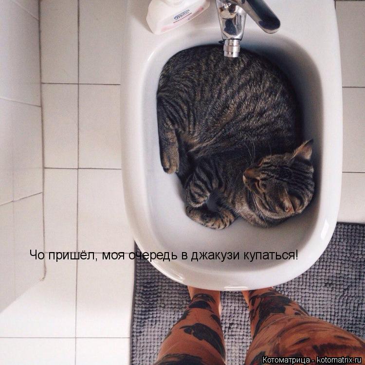 Котоматрица: Чо пришёл, моя очередь в джакузи купаться!