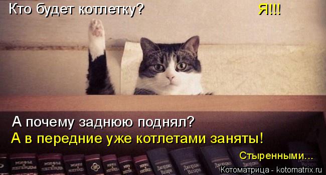 Кто будет котлетку? Я!!! А почему заднюю поднял? А в передние уже котлетами заняты! Стыренными...... Котоматрица: Кто будет котлетку? Я!!! А почему заднюю поднял? А в передние уже котлетами заняты! Стыренными...