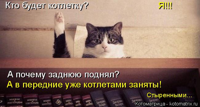 Котоматрица: Кто будет котлетку? Я!!! А почему заднюю поднял? А в передние уже котлетами заняты! Стыренными...