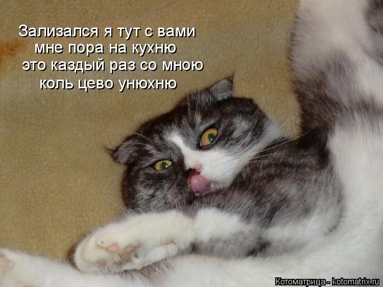 Котоматрица: Зализался я тут с вами мне пора на кухню это каздый раз со мною коль цево унюхню