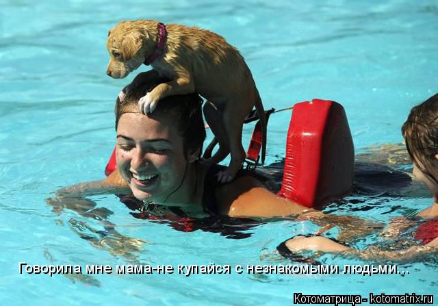 Котоматрица: Говорила мне мама-не купайся с незнакомыми людьми...