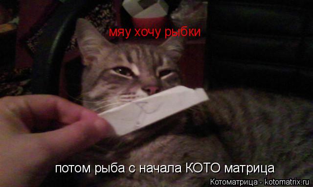 Котоматрица: мяу хочу рыбки   потом рыба с начала КОТО матрица