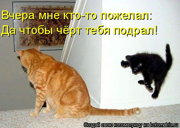 Вчера мне кто-то пожелал: Да чтобы чёрт тебя подрал!... Котоматрица: Вчера мне кто-то пожелал: Да чтобы чёрт тебя подрал!