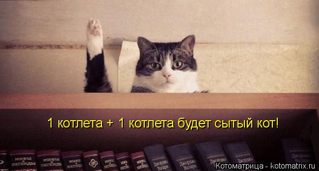 Котоматрица: 1 котлета + 1 котлета будет сытый кот!