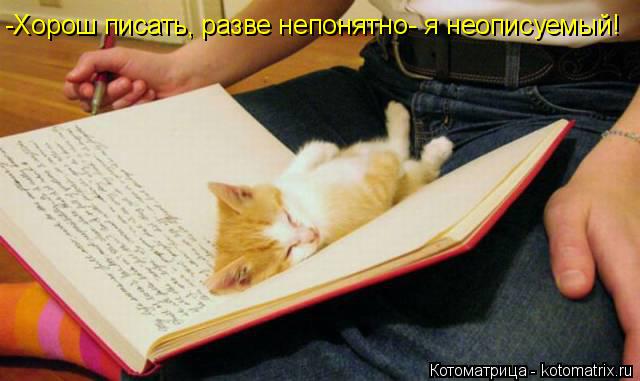 -Хорош писать, разве непонятно- я неописуемый!... Котоматрица: -Хорош писать, разве непонятно- я неописуемый!