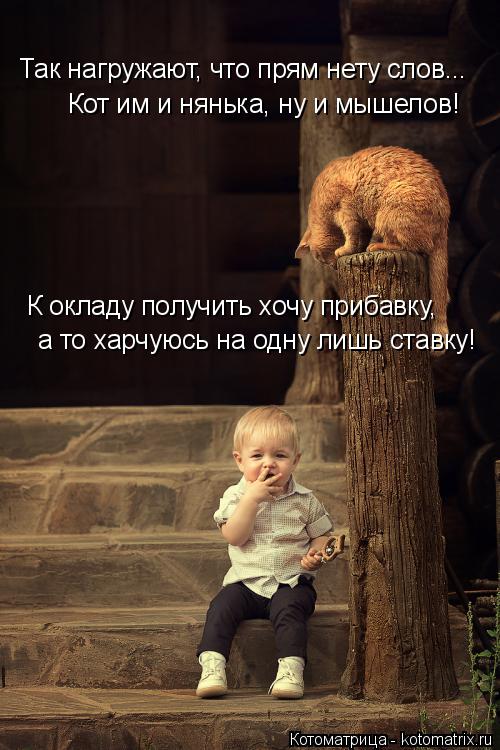 Котоматрица: Так нагружают, что прям нету слов... Кот им и нянька, ну и мышелов! К окладу получить хочу прибавку, а то харчуюсь на одну лишь ставку!