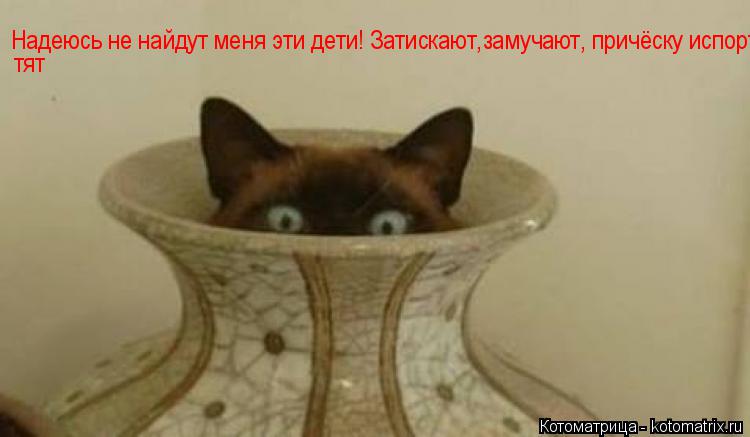Котоматрица: Надеюсь не найдут меня эти дети! Затискают,замучают, причёску испортят!! тят
