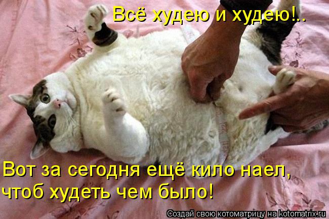 Всё худею и худею!.. Вот за сегодня ещё кило наел, чтоб худеть чем было!... Котоматрица: Всё худею и худею!.. Вот за сегодня ещё кило наел, чтоб худеть чем было!