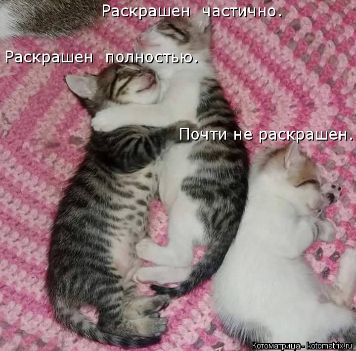 Раскрашен полностью. Раскрашен частично. Почти не раскрашен.... Котоматрица: Раскрашен полностью. Раскрашен частично. Почти не раскрашен.