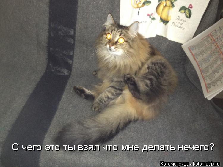 Котоматрица: С чего это ты взял что мне делать нечего?