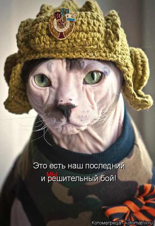 Котоматрица: Это есть наш последний и решительный бой! мы ----