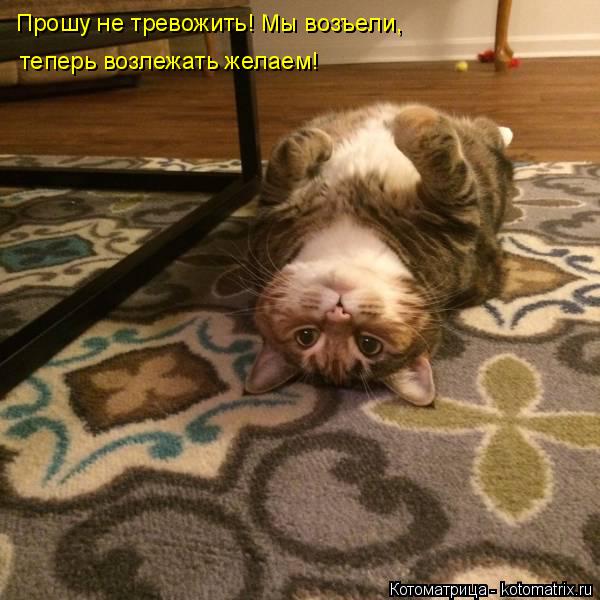 Прошу не тревожить! Мы возъели, теперь возлежать желаем!... Котоматрица: Прошу не тревожить! Мы возъели, теперь возлежать желаем!