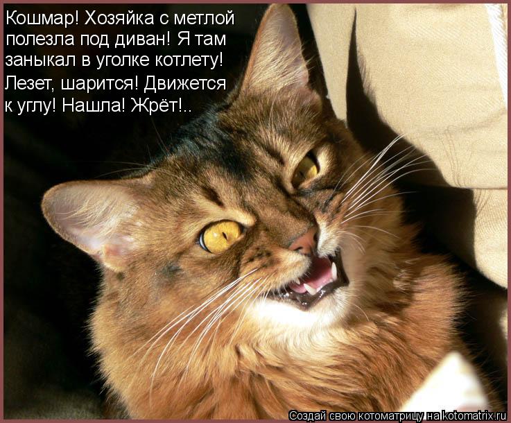 Кошмар! Хозяйка с метлой полезла под диван! Я там заныкал в уголке котлету! Лезет, шарится! Движется ... Котоматрица: Кошмар! Хозяйка с метлой полезла под диван! Я там заныкал в уголке котлету! Лезет, шарится! Движется к углу! Нашла! Жрёт!..