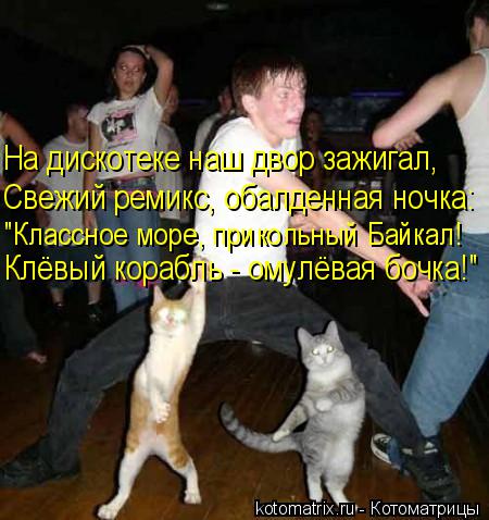 На дискотеке наш двор зажигал, Свежий ремикс, обалденная ночка: "Классное море, прикольный Байкал! Кл... Котоматрица: На дискотеке наш двор зажигал, Свежий ремикс, обалденная ночка: "Классное море, прикольный Байкал! Клёвый корабль - омулёвая бочка!"