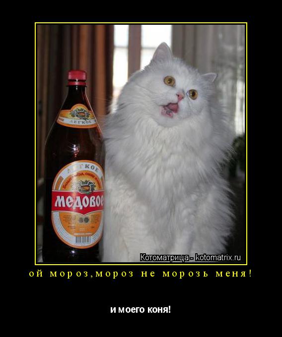ой мороз,мороз не морозь меня! и моего коня!... Котоматрица: ой мороз,мороз не морозь меня! и моего коня!