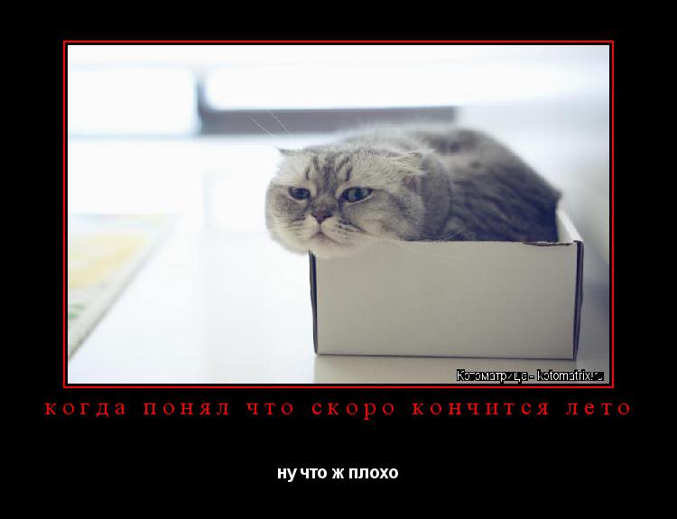 когда понял что скоро кончится лето ну что ж плохо... Котоматрица: когда понял что скоро кончится лето ну что ж плохо