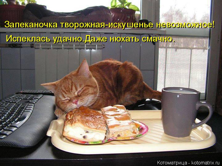 Котоматрица: Запеканочка творожная-искушенье невозможное! Испеклась удачно.Даже нюхать смачно.