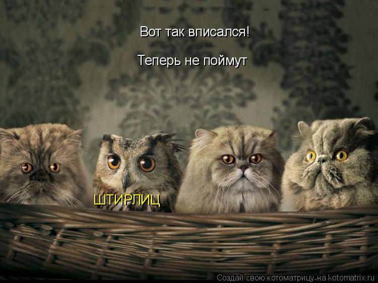 Вот так вписался! Теперь не поймут ШТИРЛИЦ... Котоматрица: Вот так вписался! Теперь не поймут ШТИРЛИЦ