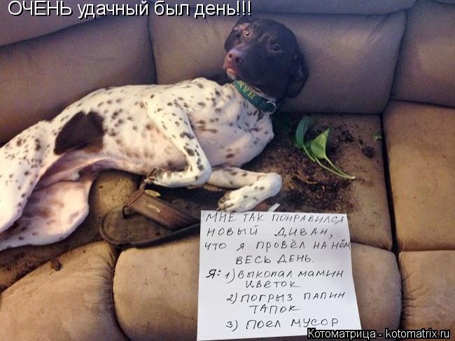 ОЧЕНЬ удачный был день!!!... Котоматрица: ОЧЕНЬ удачный был день!!!