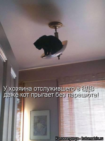 У хозяина отслужившего в ВДВ даже кот прыгает без парашюта!... Котоматрица: У хозяина отслужившего в ВДВ даже кот прыгает без парашюта!