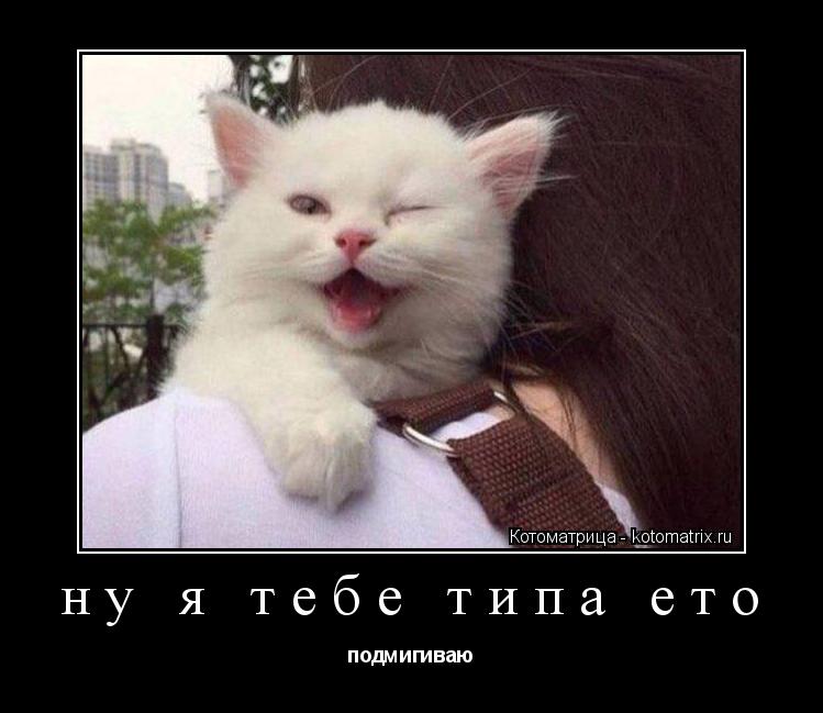 ну я тебе типа ето подмигиваю... Котоматрица: ну я тебе типа ето подмигиваю