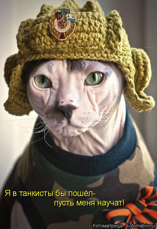 Я в танкисты бы пошёл- пусть меня научат!... Котоматрица: Я в танкисты бы пошёл- пусть меня научат!