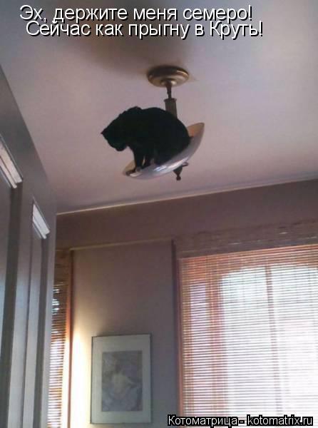 Эх, держите меня семеро! Сейчас как прыгну в Круть!... Котоматрица: Эх, держите меня семеро! Сейчас как прыгну в Круть!