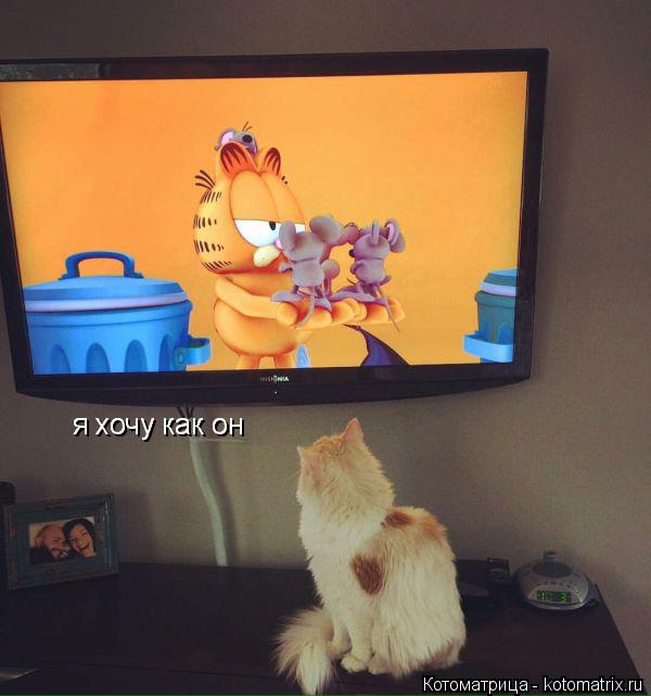 я хочу как он я хочу как он... Котоматрица: я хочу как он я хочу как он