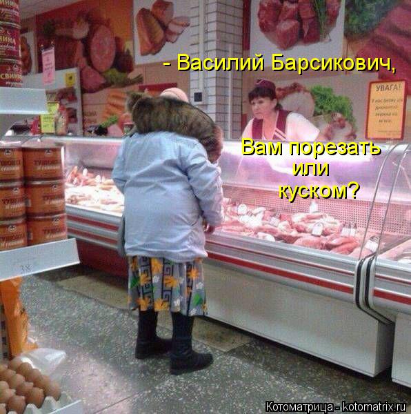 - Василий Барсикович, или Вам порезать куском?... Котоматрица: - Василий Барсикович, или Вам порезать куском?
