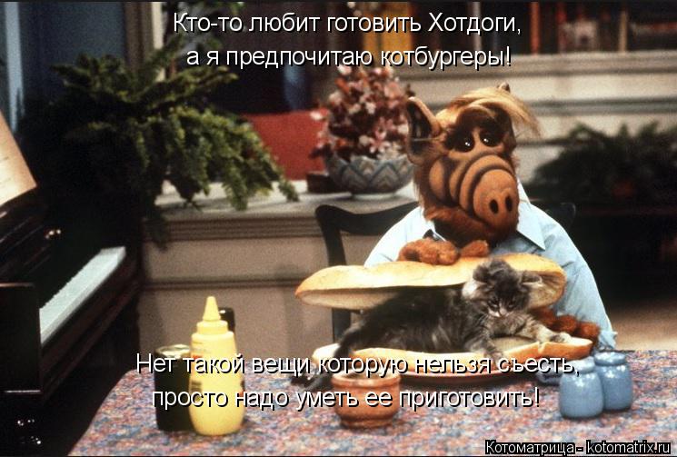 а я предпочитаю котбургеры! Кто-то любит готовить Хотдоги, Нет такой вещи которую нельзя съесть, прос... Котоматрица: а я предпочитаю котбургеры! Кто-то любит готовить Хотдоги, Нет такой вещи которую нельзя съесть, просто надо уметь ее приготовить!
