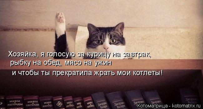 Хозяйка, я голосую за курицу на завтрак, рыбку на обед, мясо на ужин и чтобы ты прекратила жрать мо... Котоматрица: Хозяйка, я голосую за курицу на завтрак, рыбку на обед, мясо на ужин и чтобы ты прекратила жрать мои котлеты!