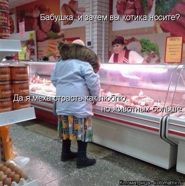 Бабушка, и зачем вы котика носите? Да я меха страсть как люблю, но животных больше.... Котоматрица: Бабушка, и зачем вы котика носите? Да я меха страсть как люблю, но животных больше.