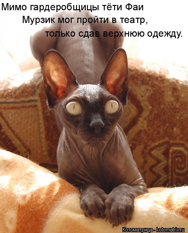 очки шнурок