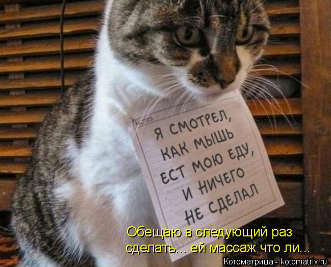 Обещаю в следующий раз сделать... ей массаж что ли...... Котоматрица: Обещаю в следующий раз сделать... ей массаж что ли...
