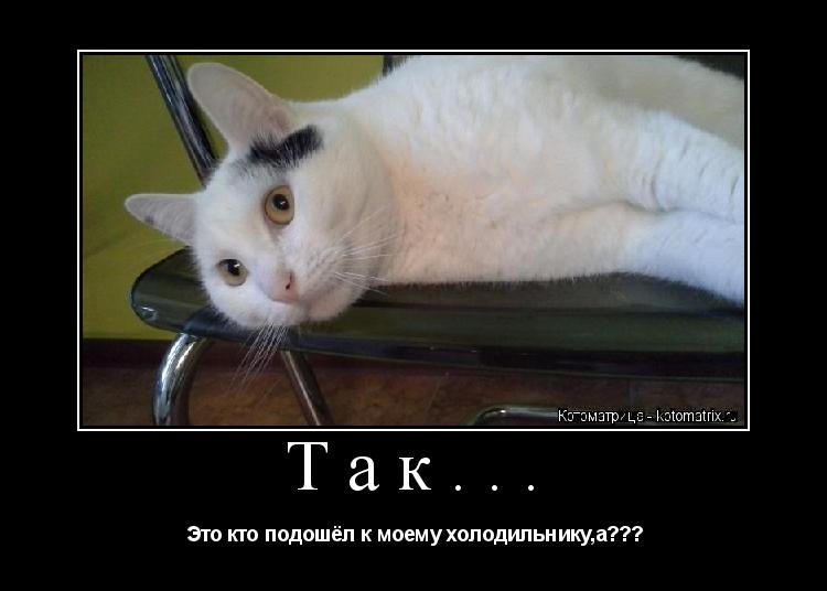 Так... Это кто подошёл к моему холодильнику,а???... Котоматрица: Так... Это кто подошёл к моему холодильнику,а???