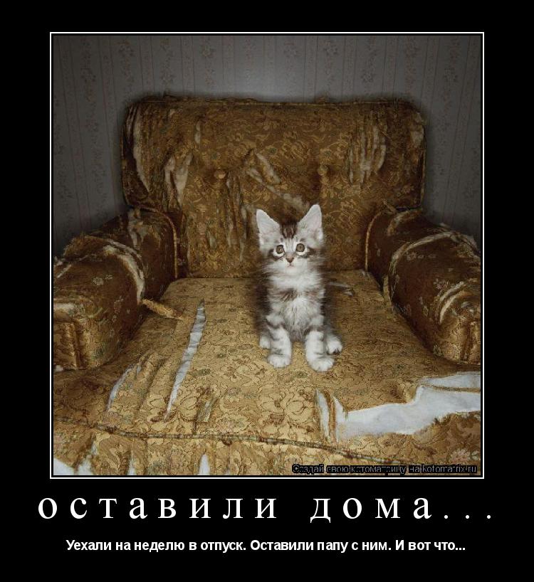 оставили дома... Уехали на неделю в отпуск. Оставили папу с ним. И вот что...... Котоматрица: оставили дома... Уехали на неделю в отпуск. Оставили папу с ним. И вот что...