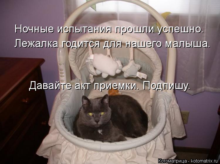 Ночные испытания прошли успешно. Лежалка годится для нашего малыша. Давайте акт приемки. Подпишу.... Котоматрица: Ночные испытания прошли успешно. Лежалка годится для нашего малыша. Давайте акт приемки. Подпишу.