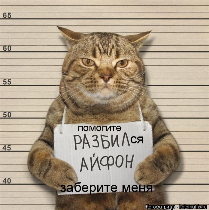 помогите ся заберите меня... Котоматрица: помогите ся заберите меня
