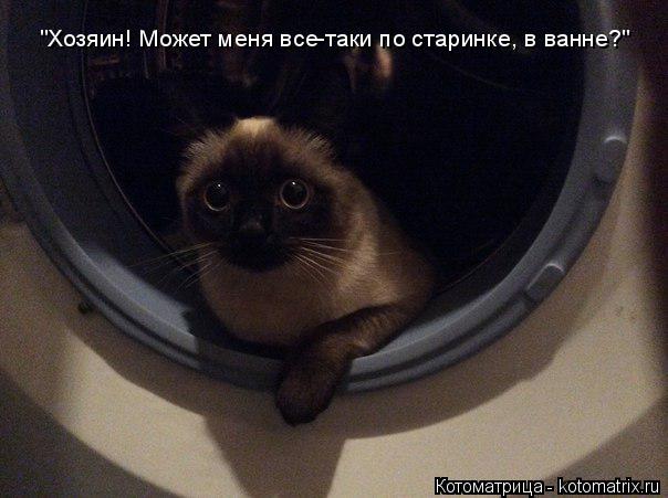 "Хозяин! Может меня все-таки по старинке, в ванне?"... Котоматрица: "Хозяин! Может меня все-таки по старинке, в ванне?"