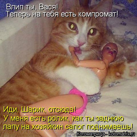 Котоматрица: Влип ты, Вася! Теперь на тебя есть компромат! Иди, Шарик, отсюда! У меня есть ролик, как ты заднюю  лапу на хозяйкин сапог поднимаешь!