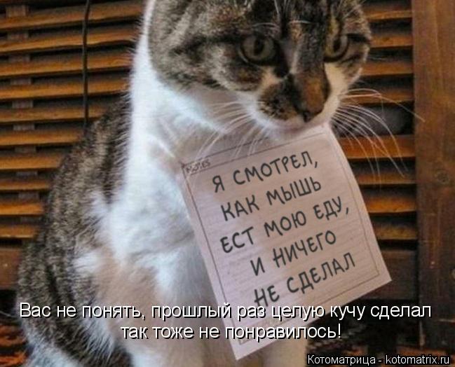 Котоматрица: Вас не понять, прошлый раз целую кучу сделал так тоже не понравилось!