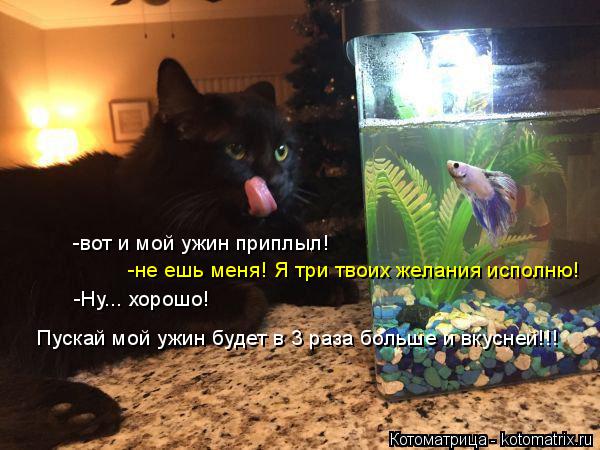 -вот и мой ужин приплыл! -не ешь меня! Я три твоих желания исполню! -Ну... хорошо! Пускай мой ужин бу... Котоматрица: -вот и мой ужин приплыл! -не ешь меня! Я три твоих желания исполню! -Ну... хорошо! Пускай мой ужин будет в 3 раза больше и вкусней!!!