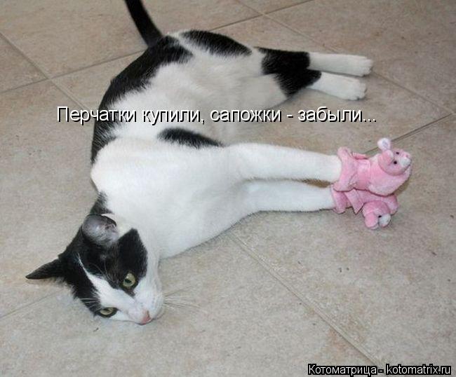 Котоматрица: Перчатки купили, сапожки - забыли...