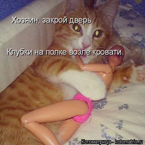 Хозяин, закрой дверь. Клубки на полке возле кровати.... Котоматрица: Хозяин, закрой дверь. Клубки на полке возле кровати.