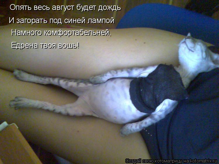 Опять весь август будет дождь И загорать под синей лампой Намного комфортабельней, Едрена твоя вошь!... Котоматрица: Опять весь август будет дождь И загорать под синей лампой Намного комфортабельней, Едрена твоя вошь!