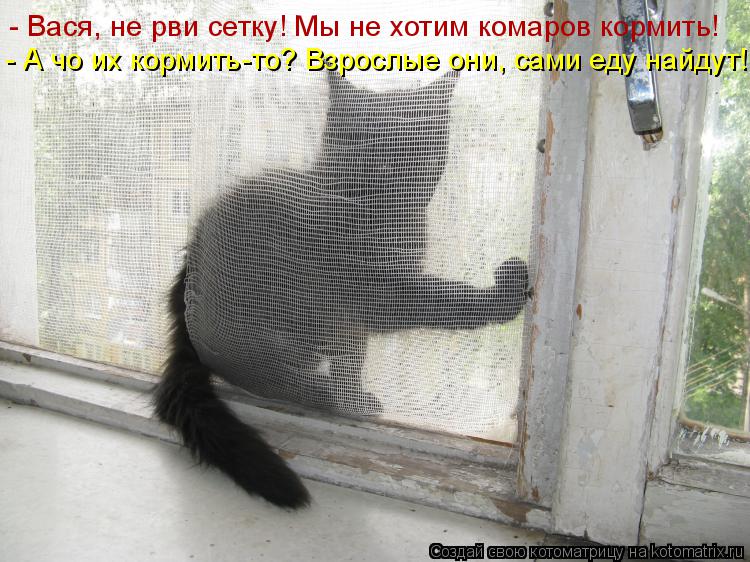 - Вася, не рви сетку! Мы не хотим комаров кормить! - А чо их кормить-то? Взрослые они, сами еду найду... Котоматрица: - Вася, не рви сетку! Мы не хотим комаров кормить! - А чо их кормить-то? Взрослые они, сами еду найдут!